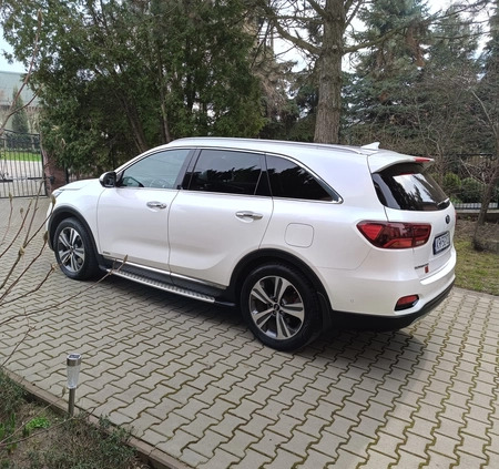 Kia Sorento cena 121500 przebieg: 104500, rok produkcji 2018 z Czerwieńsk małe 22